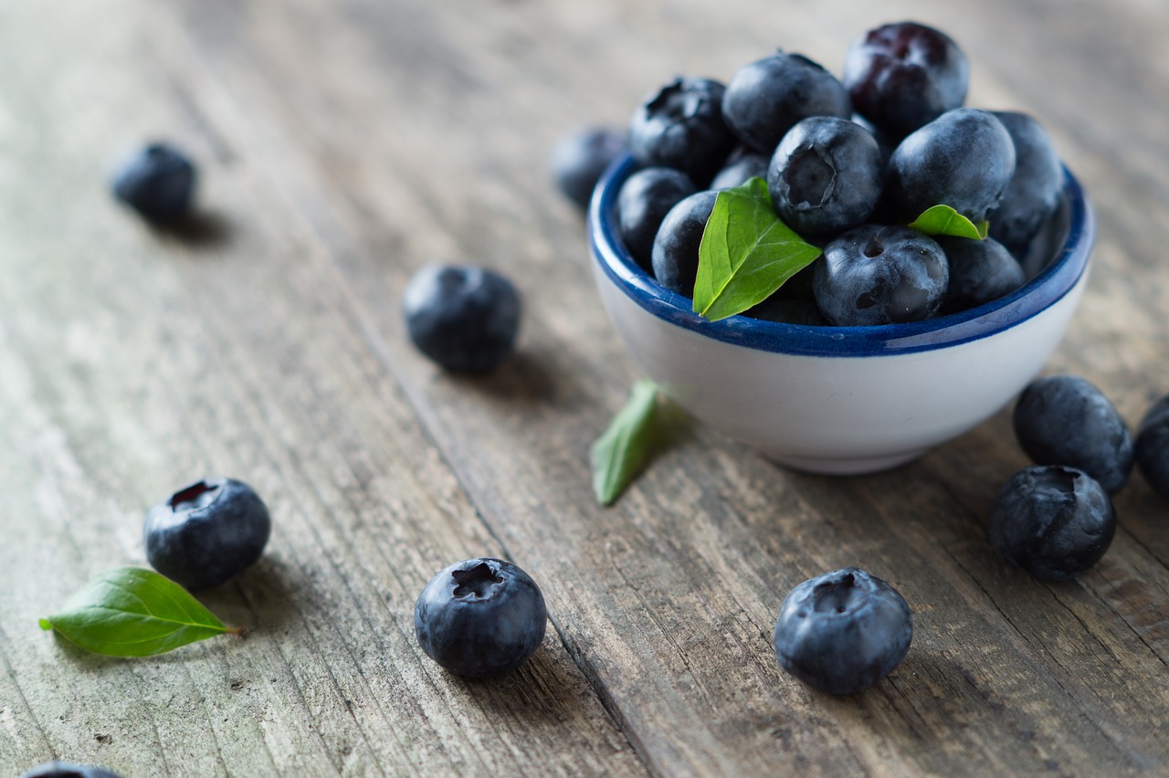 blueberries  health  vitamins free photo