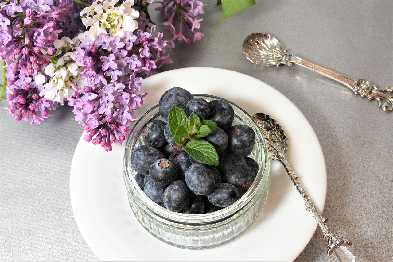 blueberries  berry fruit  food free photo