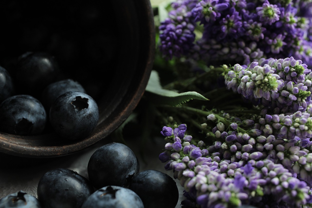 blueberries  fruit  eat free photo