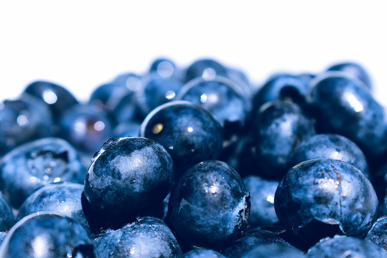 blueberries  fresh  fruit free photo