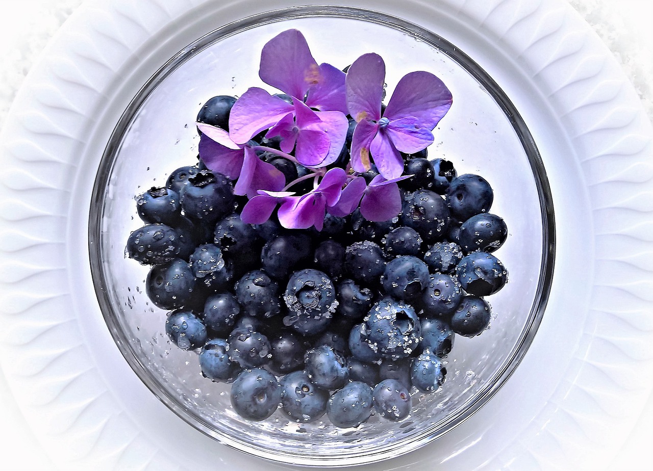 blueberries  fruits  fruit free photo