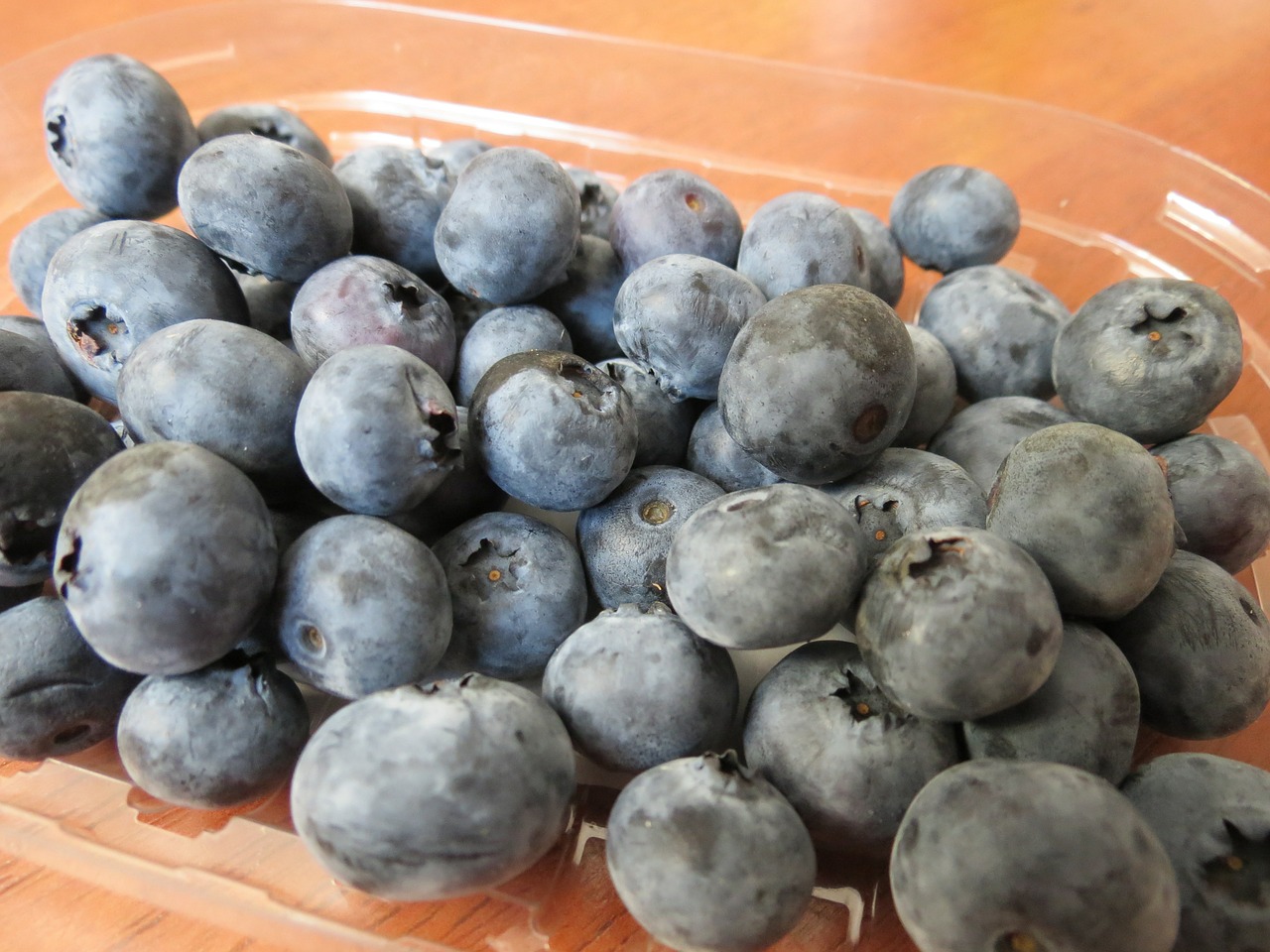 blueberries berries fruit free photo