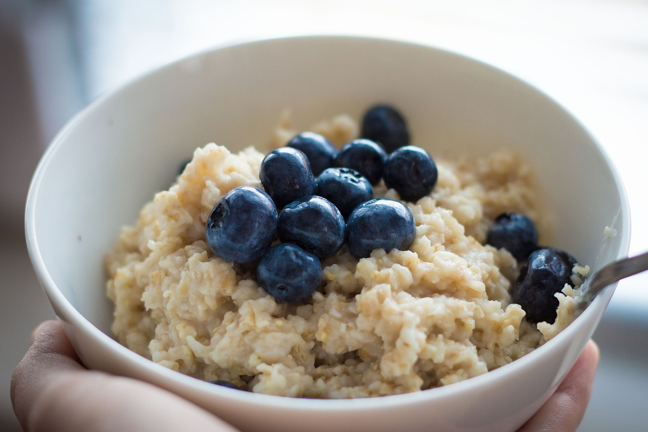 blueberries oats oatmeal free photo