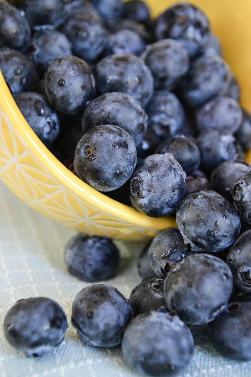 blueberries bowl fresh free photo