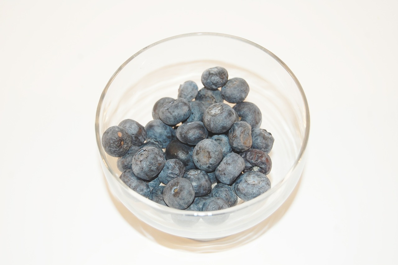 blueberries fruit season free photo