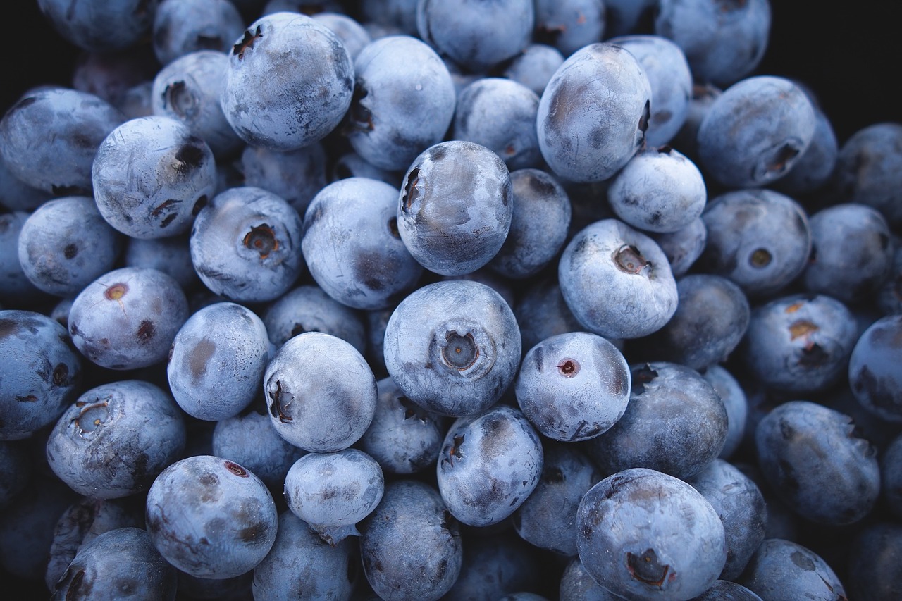 blueberries fruit food free photo