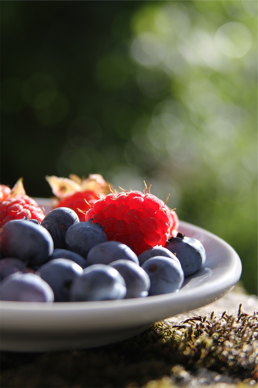 blueberries raspberries fruits free photo