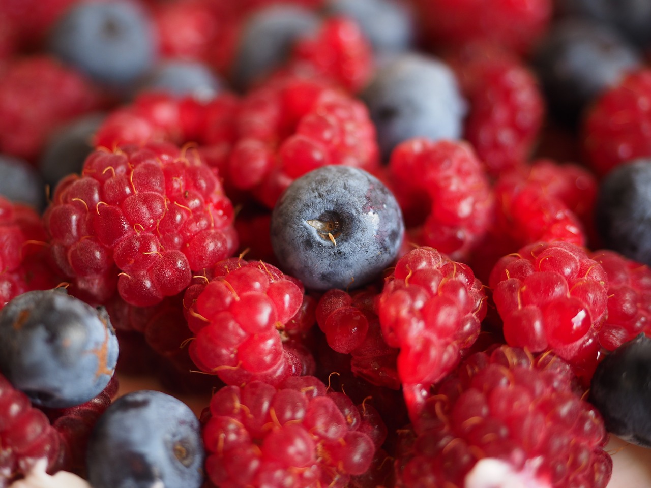 blueberries raspberries berries free photo