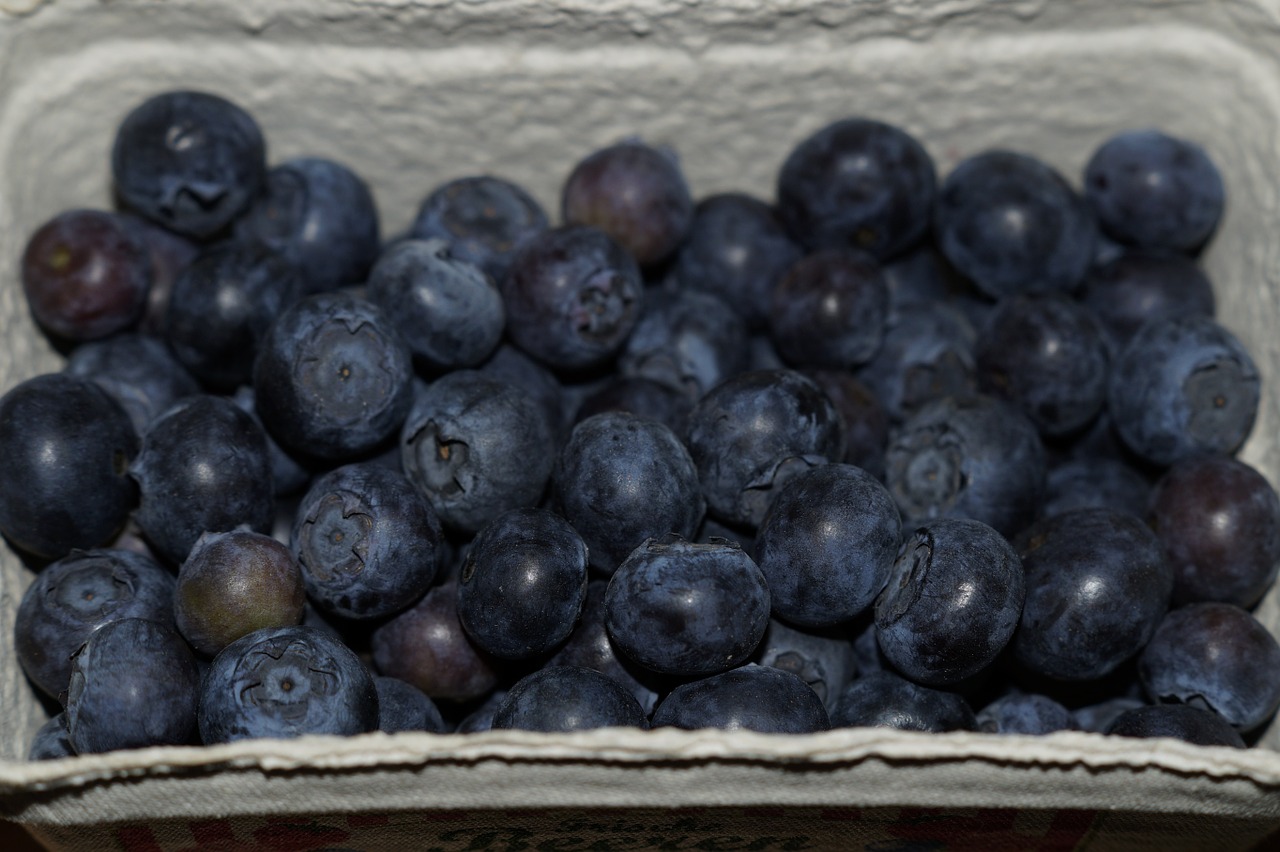 blueberries berries shell free photo
