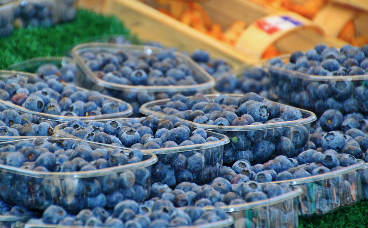 blueberries berries fruits free photo