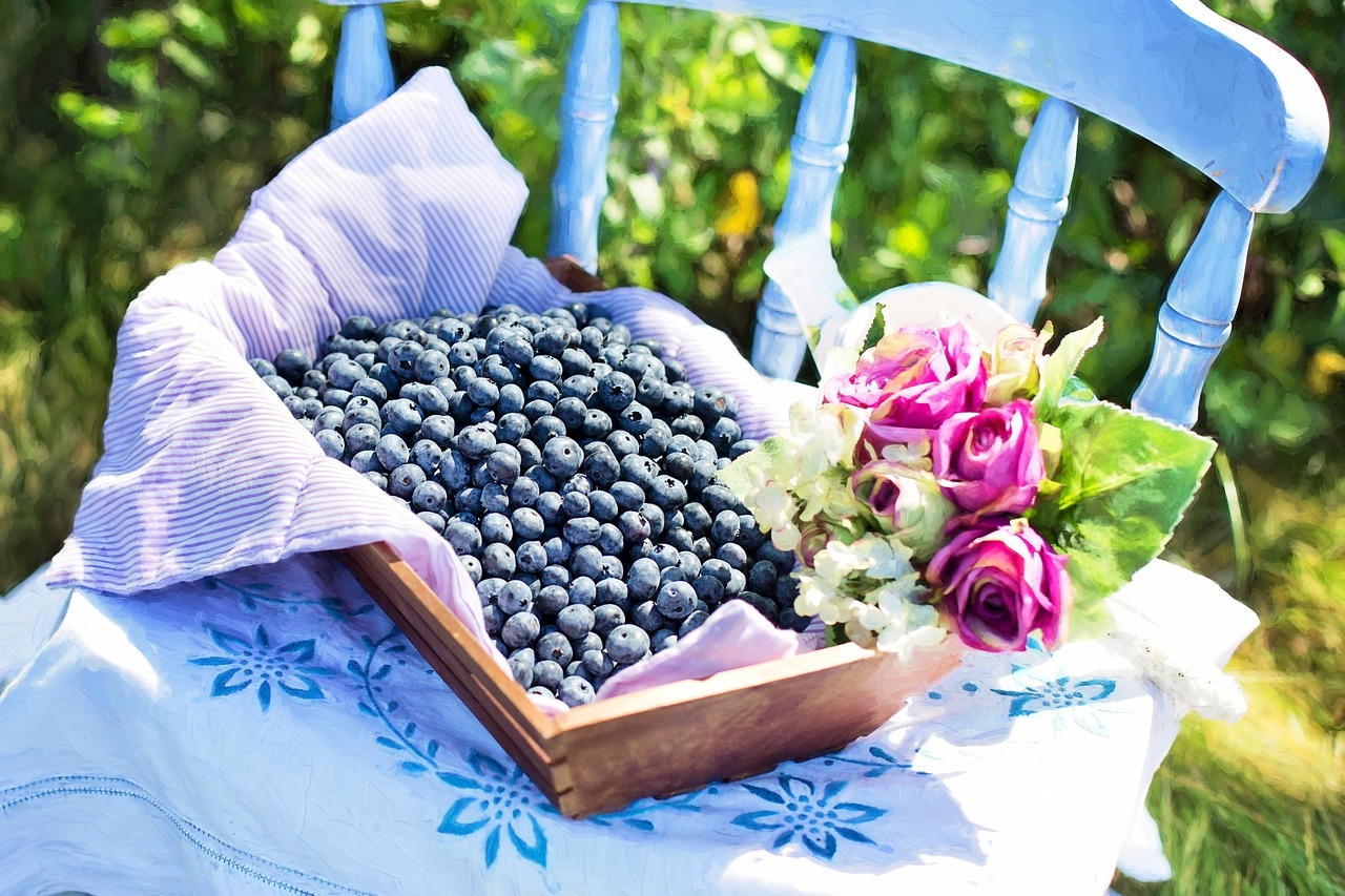 blueberries summer fruit free photo