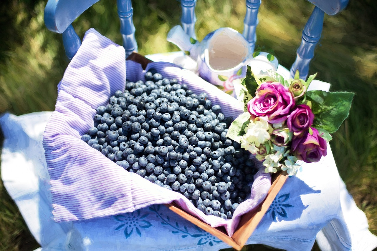 blueberries summer fruit free photo