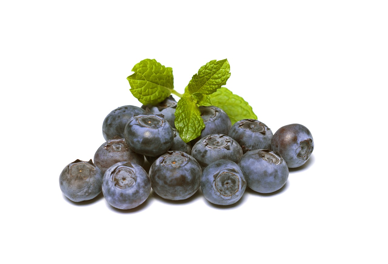 blueberries blueberry fruit free photo