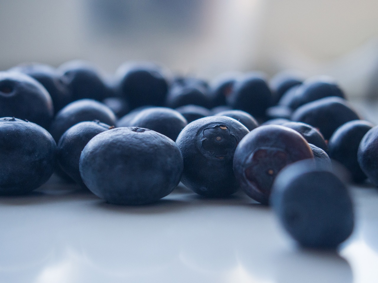 blueberries fruits healthy free photo