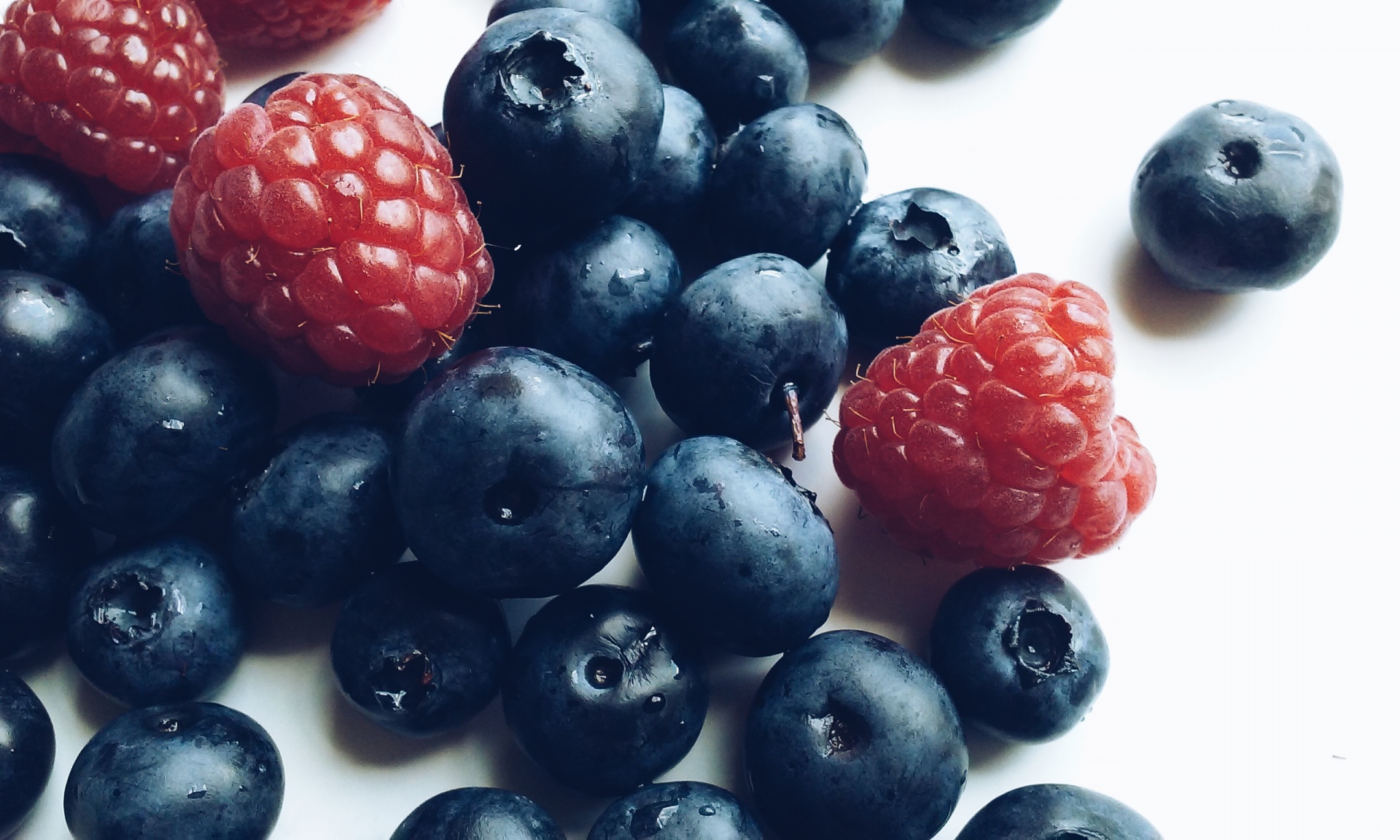 blueberry blueberries raspberry free photo
