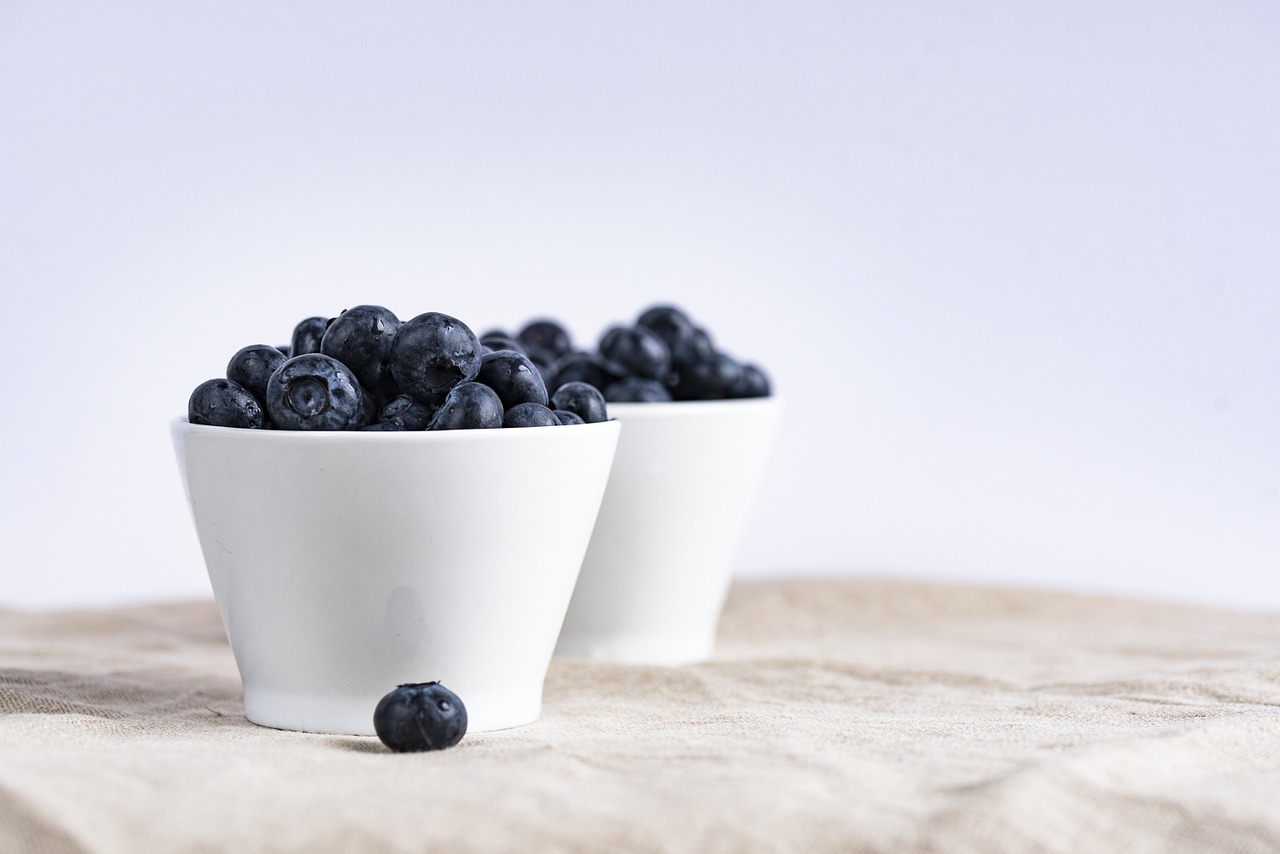 blueberry blueberries berries free photo