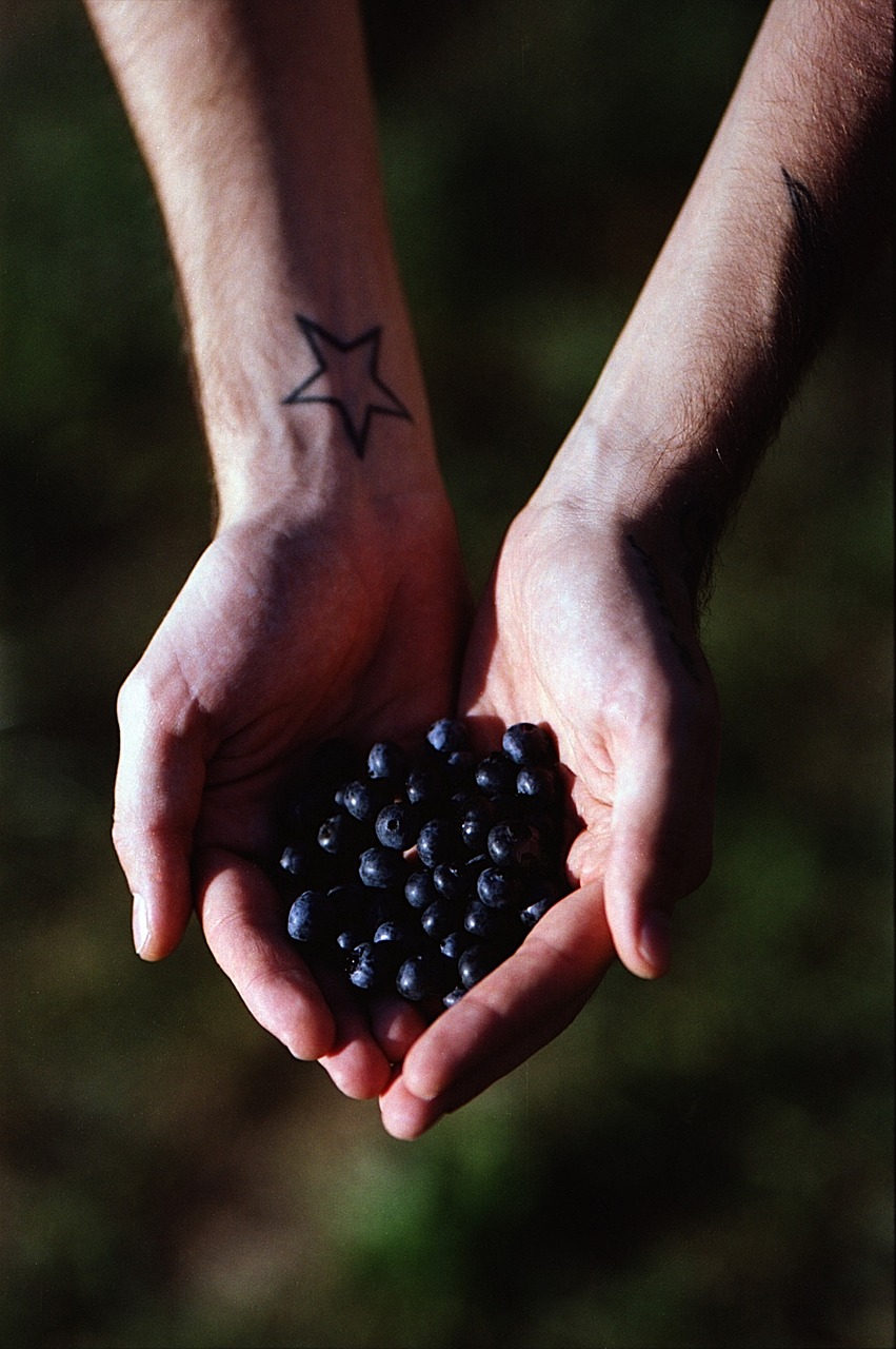 blueberry hand food free photo