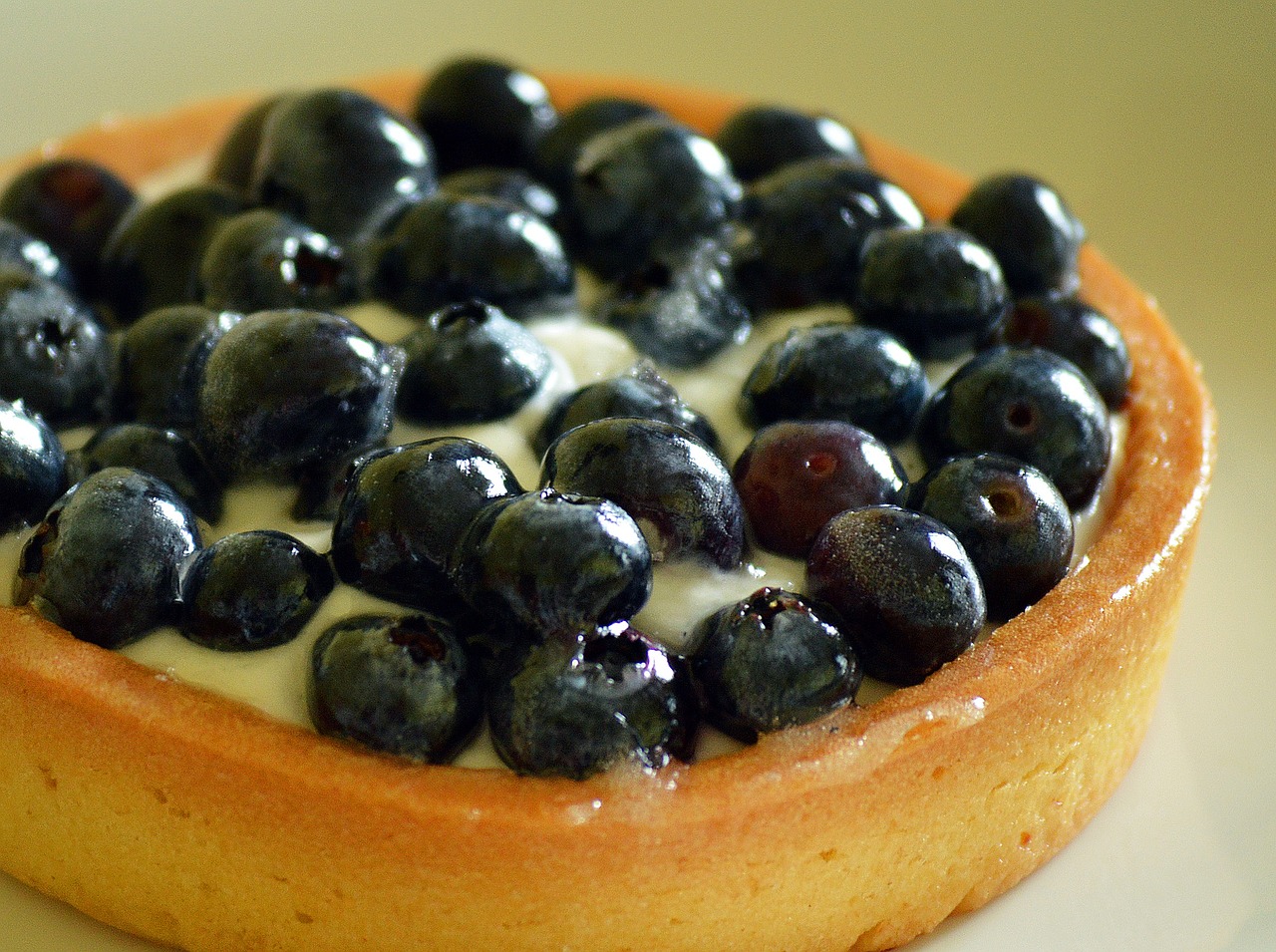 blueberry torte dessert free photo