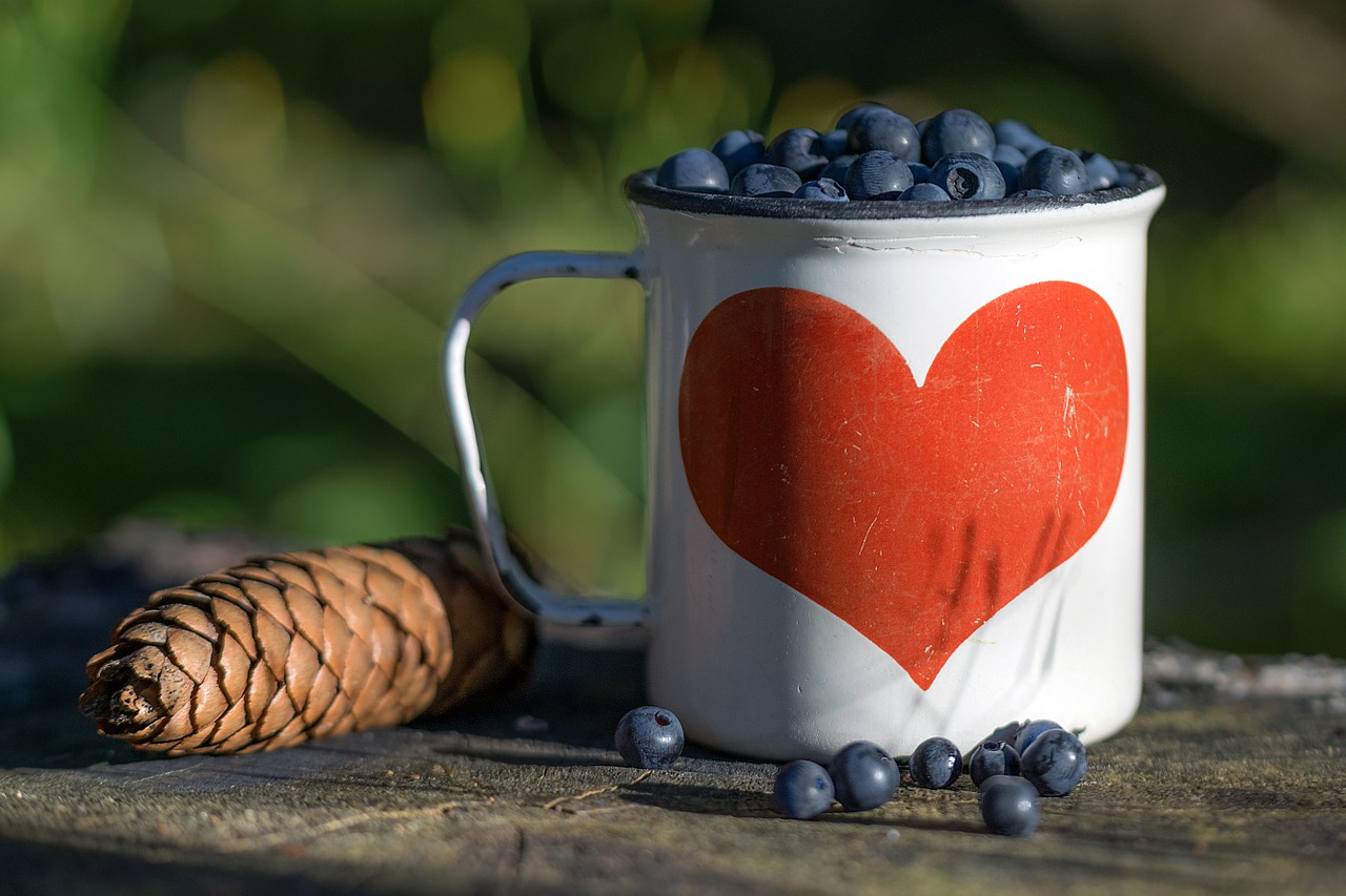 blueberry cone mug free photo