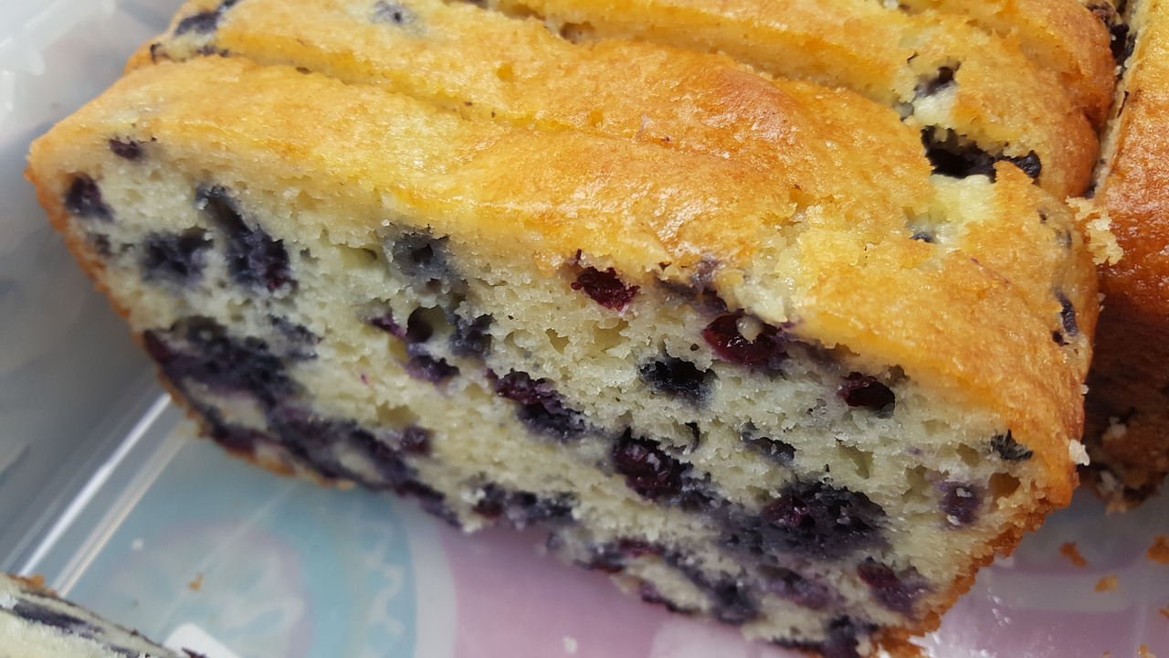 blueberry cake cake berry free photo