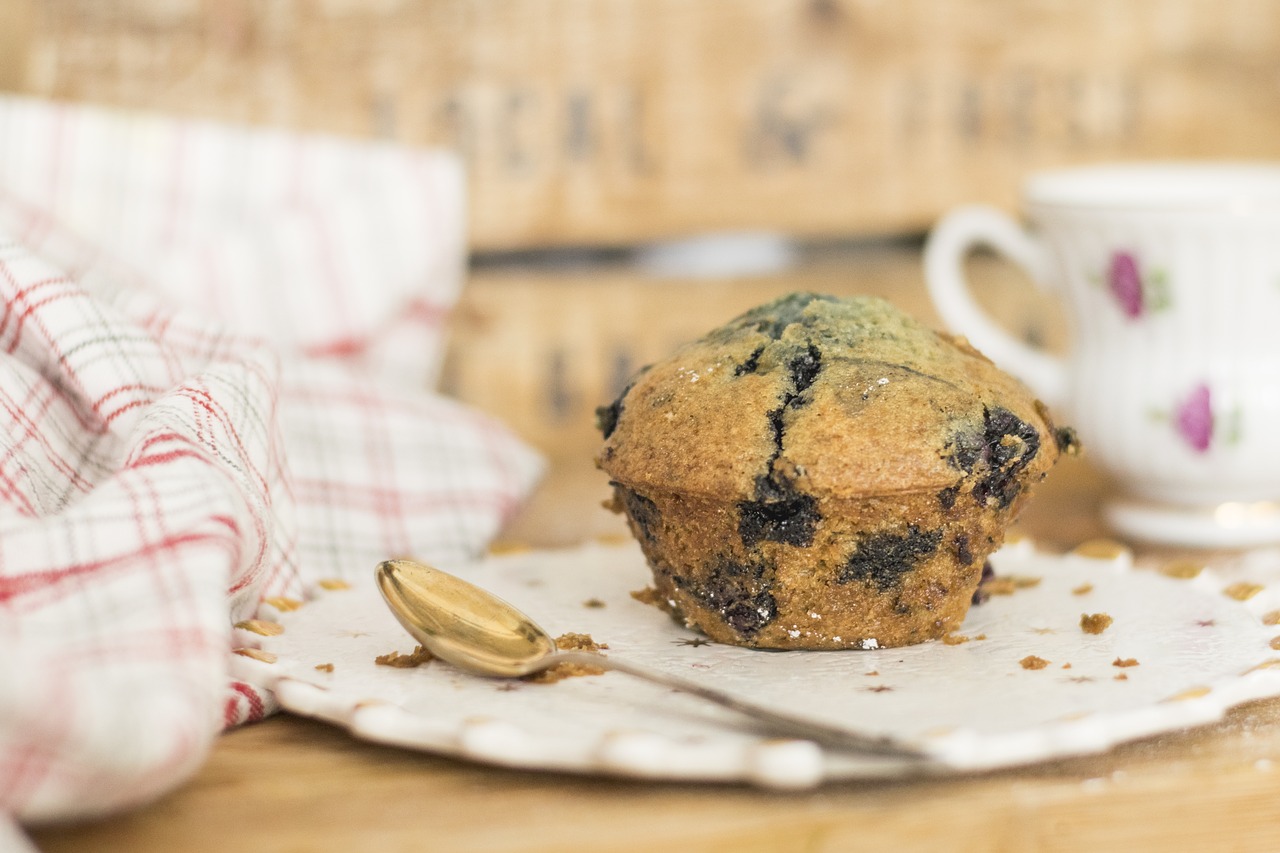 blueberry muffin muffins free photo