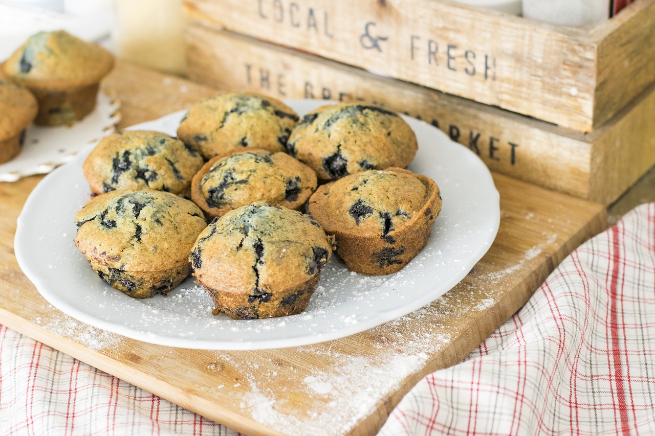 blueberry muffin muffins free photo