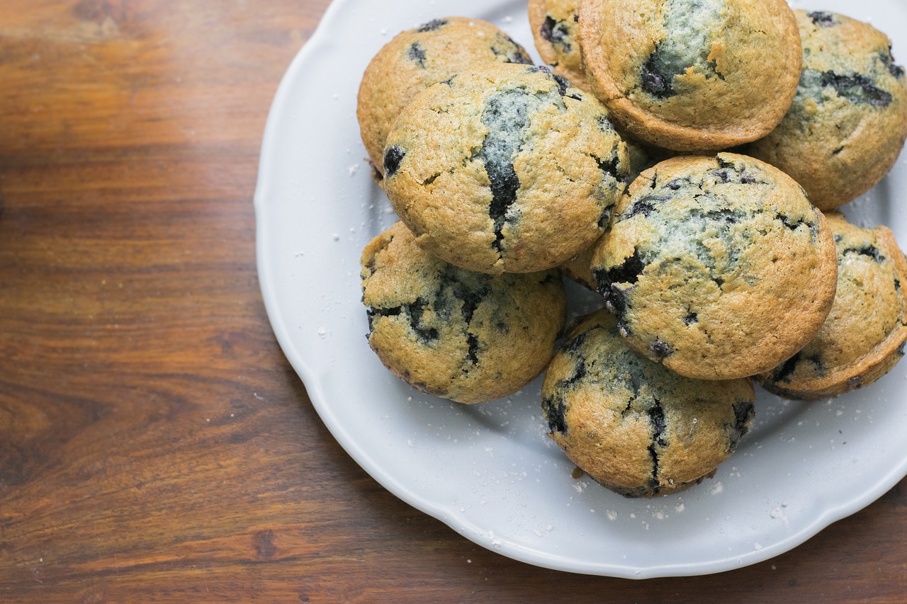 blueberry muffin muffins free photo