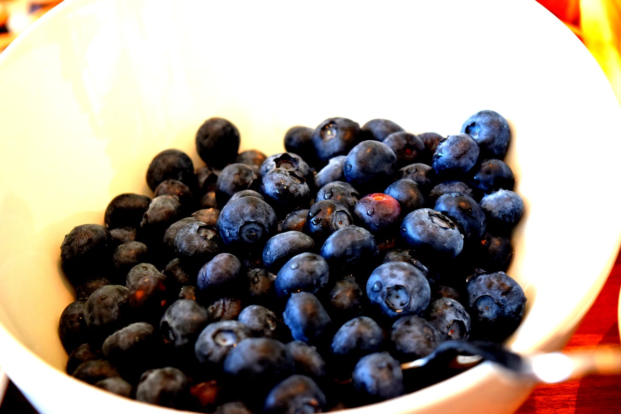 blueberry fruit fresh free photo