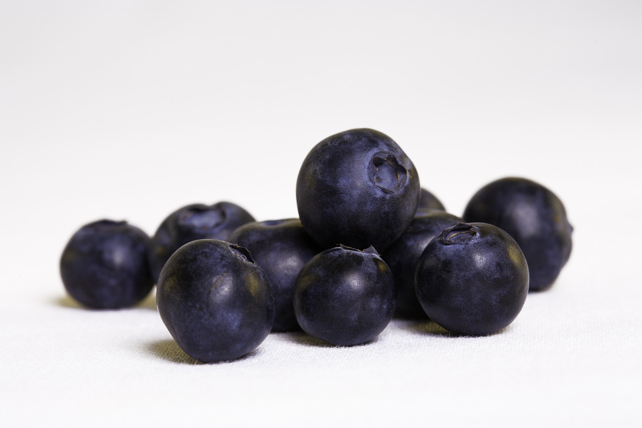 blueberry blueberries health free photo