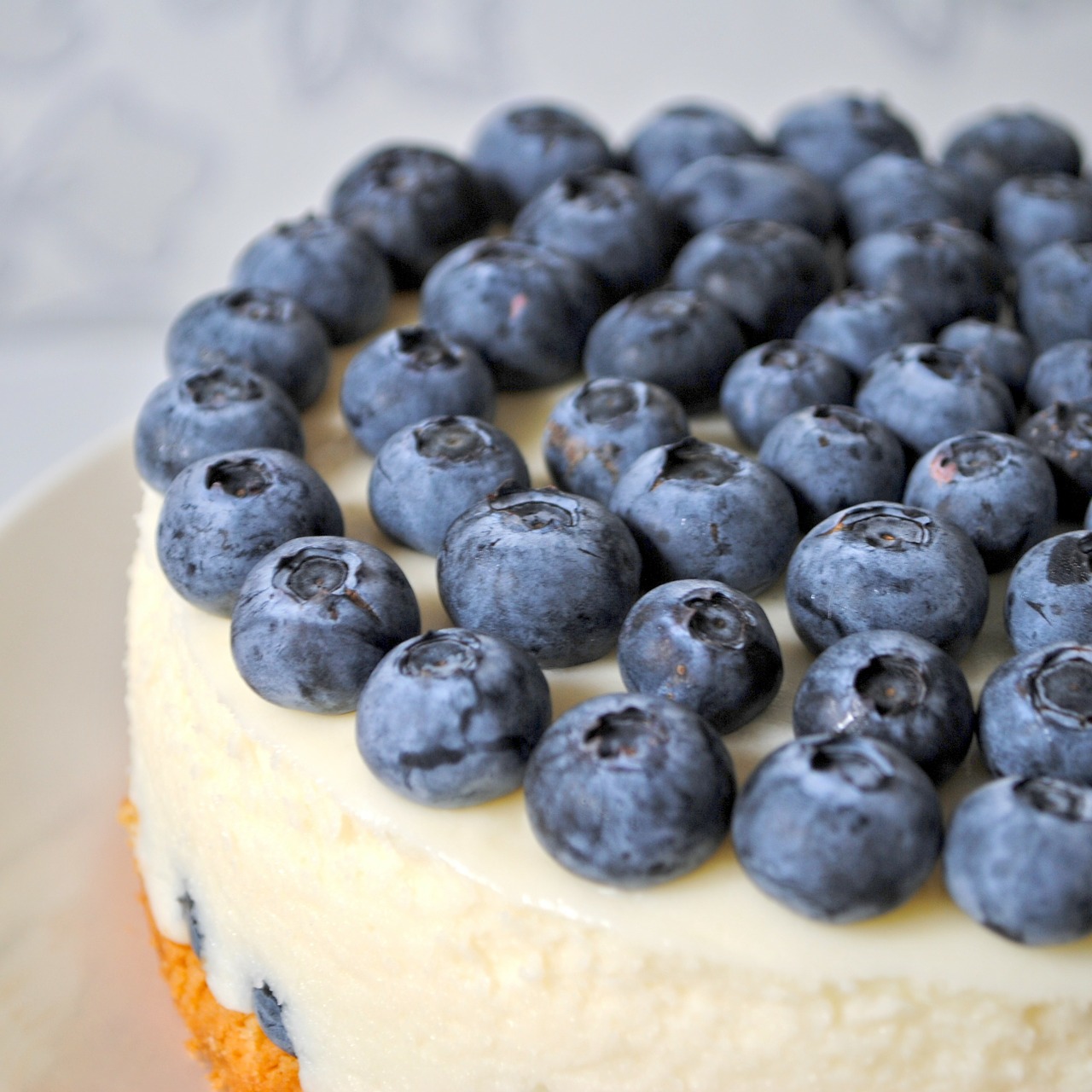 blueberry cheesecake berry free photo