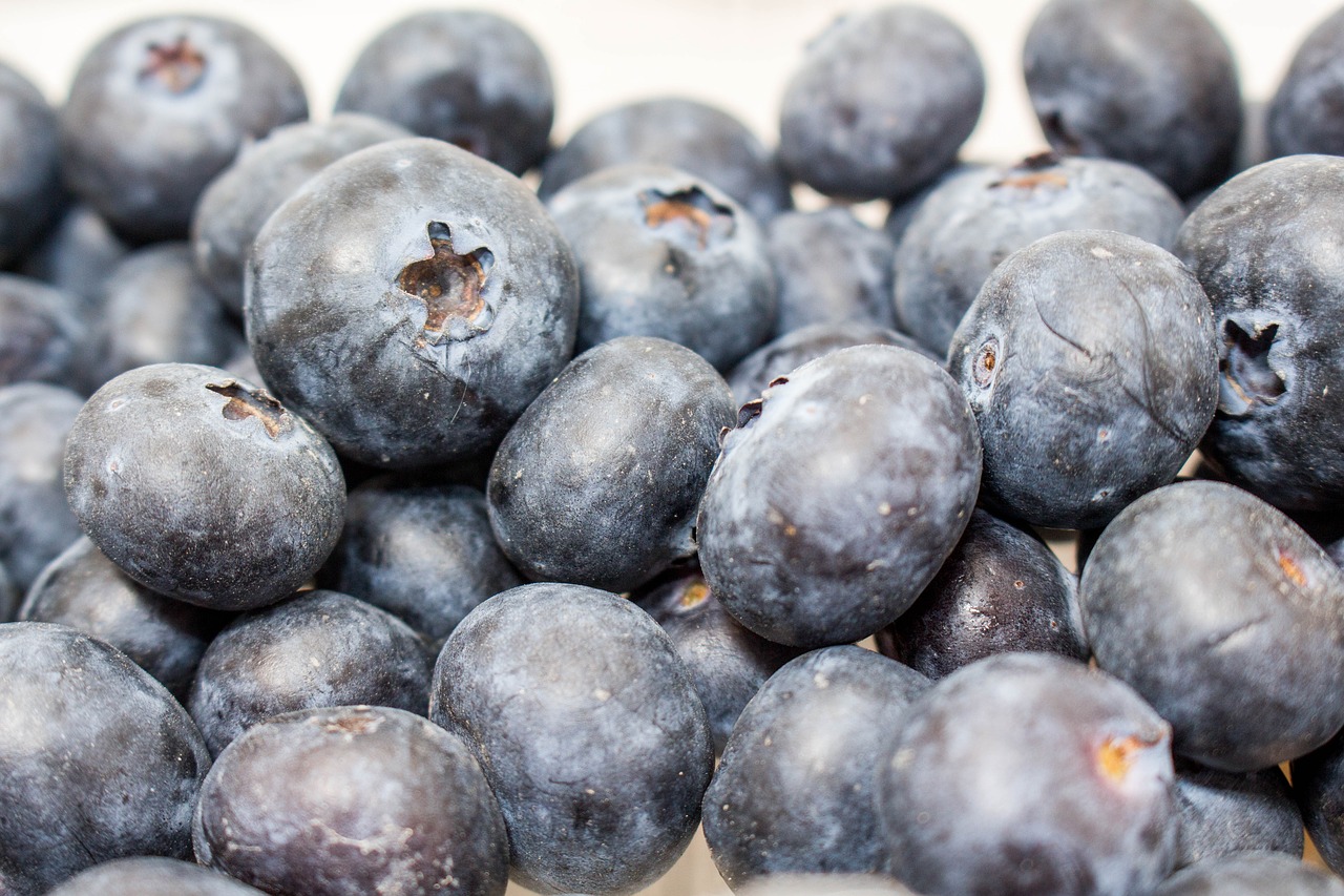 blueberry food fruit free photo