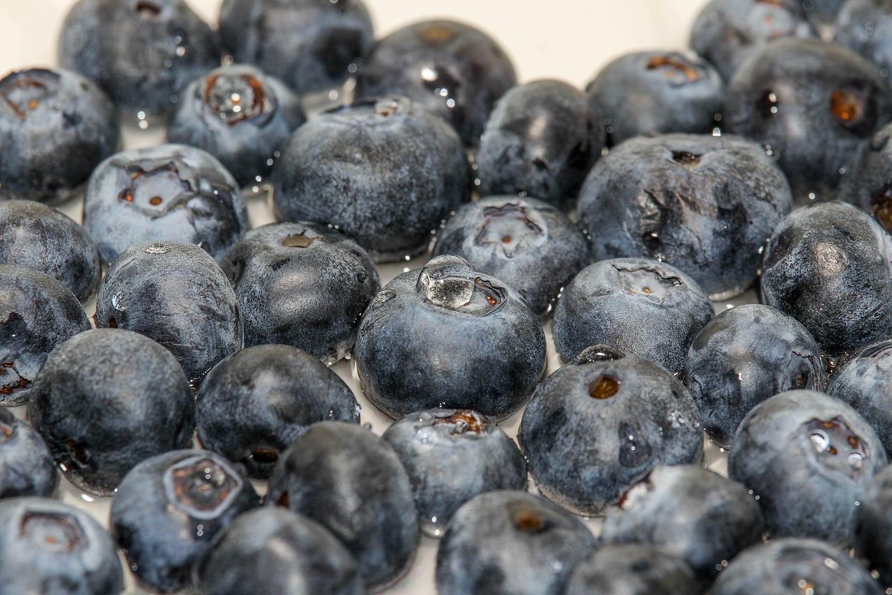 blueberry  food  fruit free photo