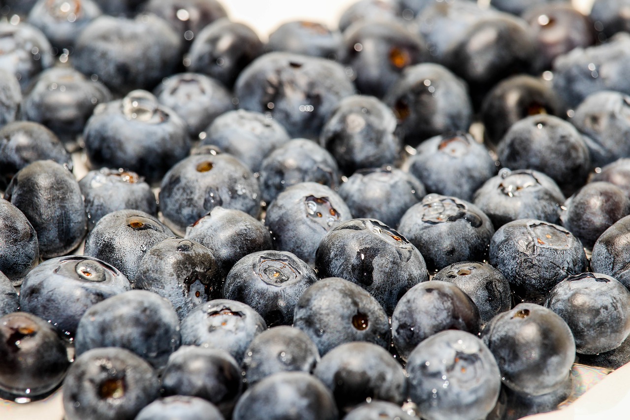 blueberry  food  fruit free photo