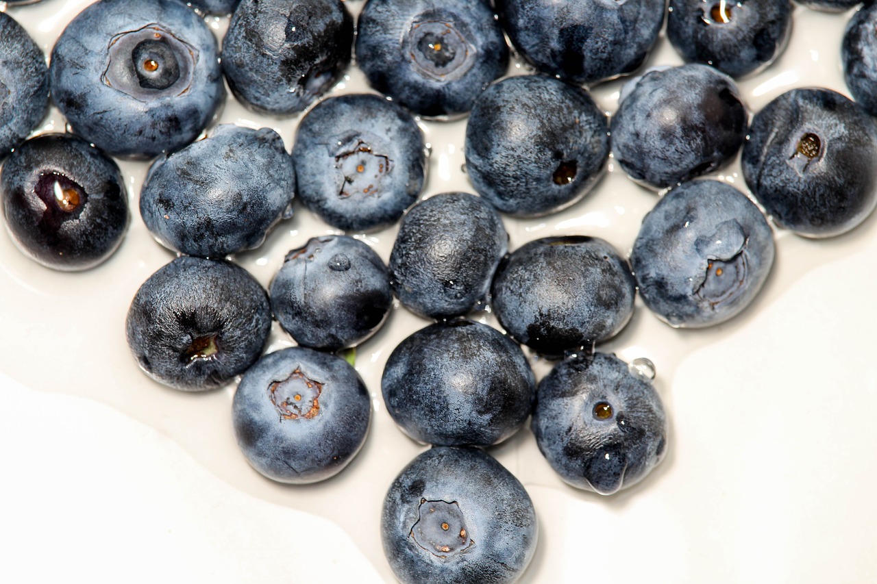 blueberry  berry  fruit free photo