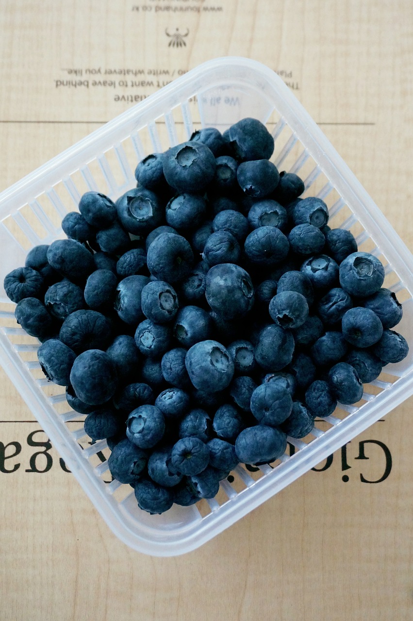 blueberry fruit purple free photo