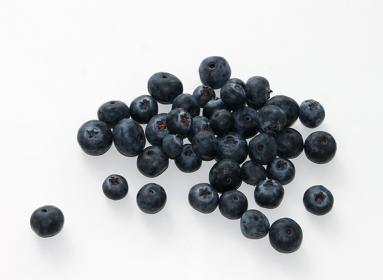 blueberry fruit food free photo