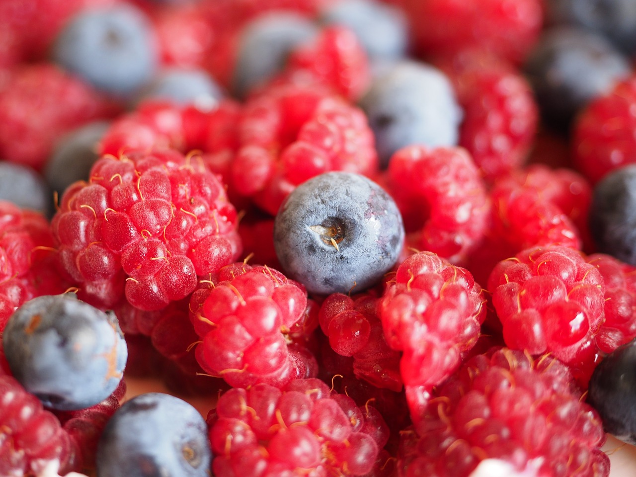 blueberry raspberries berries free photo