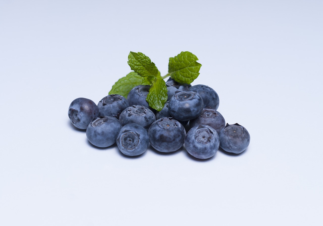 blueberry blueberries fruit free photo