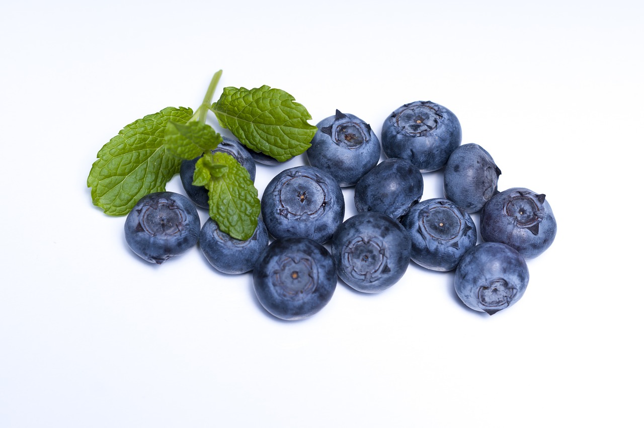 blueberry blueberries fruit free photo