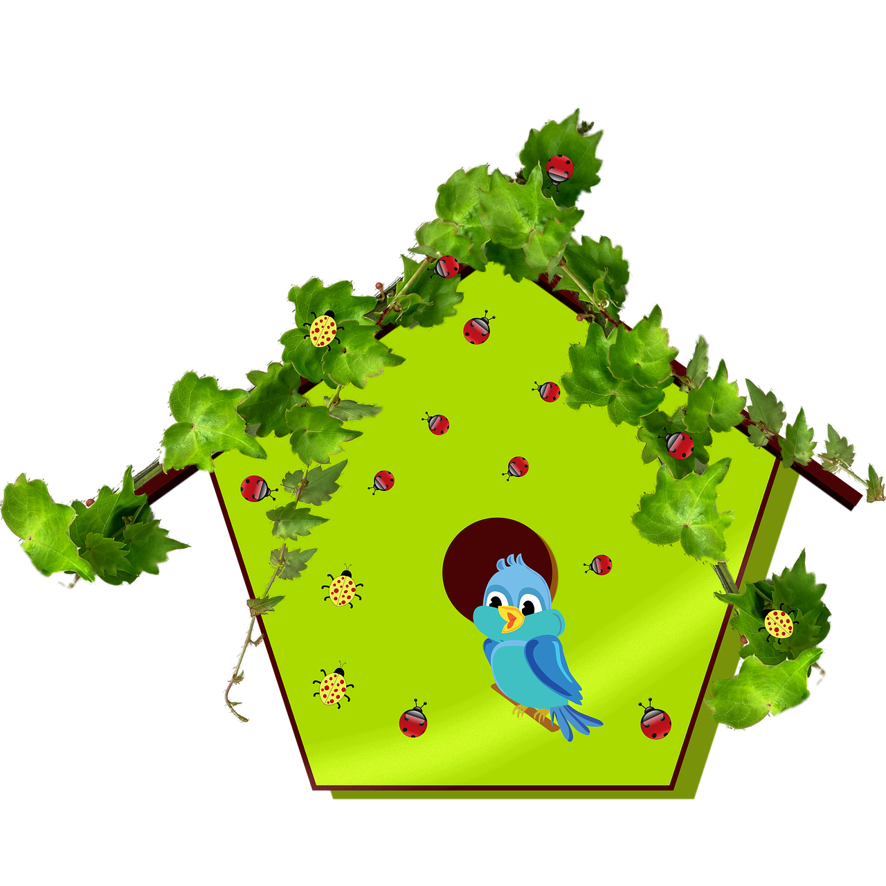 bluebird bird birdhouse free photo