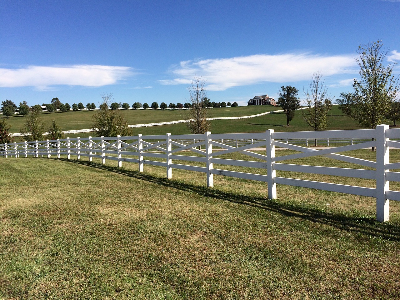bluegrass fence rural free photo