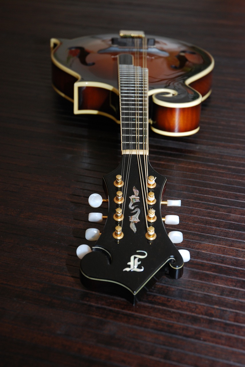 bluegrass mandolin mandolin instrument free photo