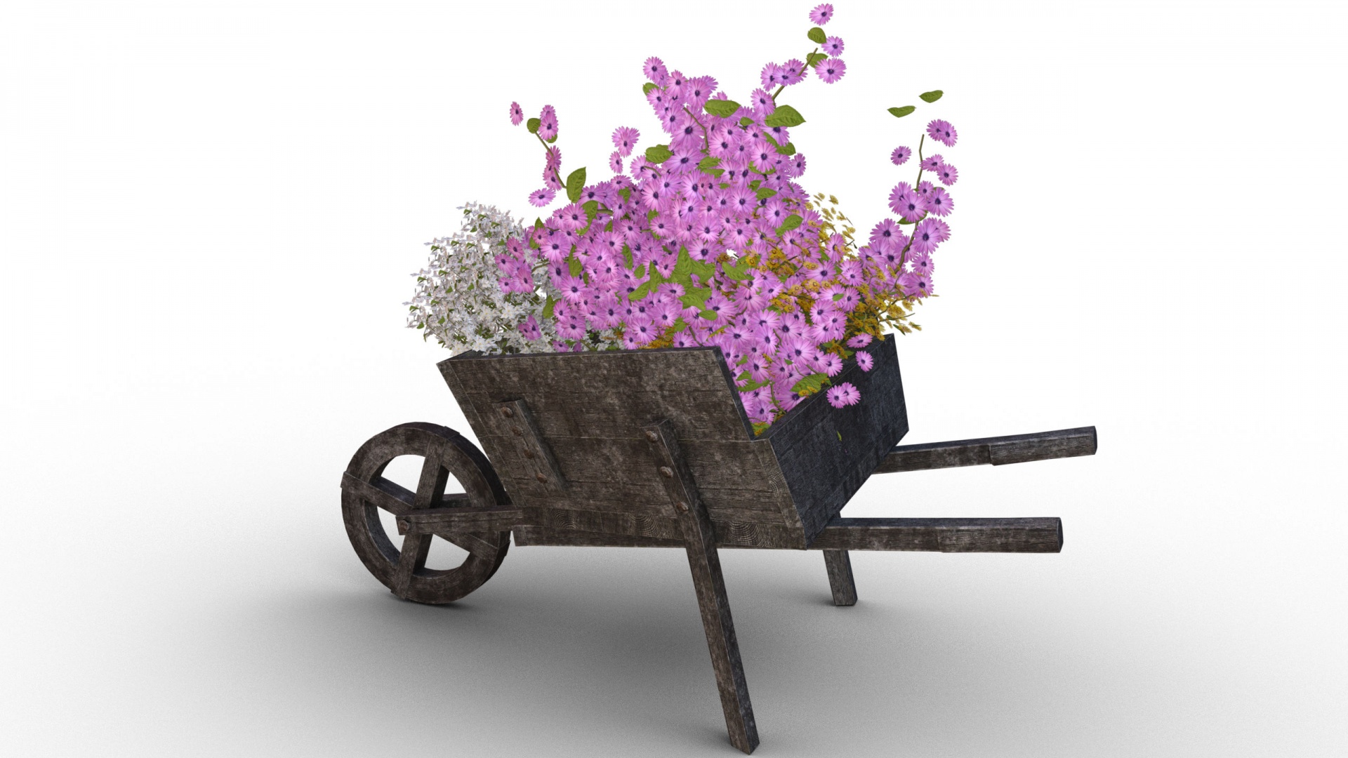 flowers cart wheelbarrow free photo