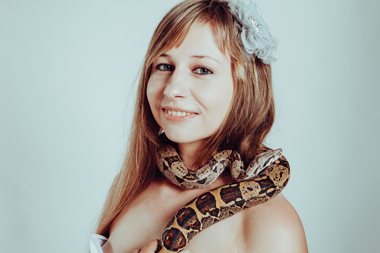 boa constrictor  snake  woman free photo