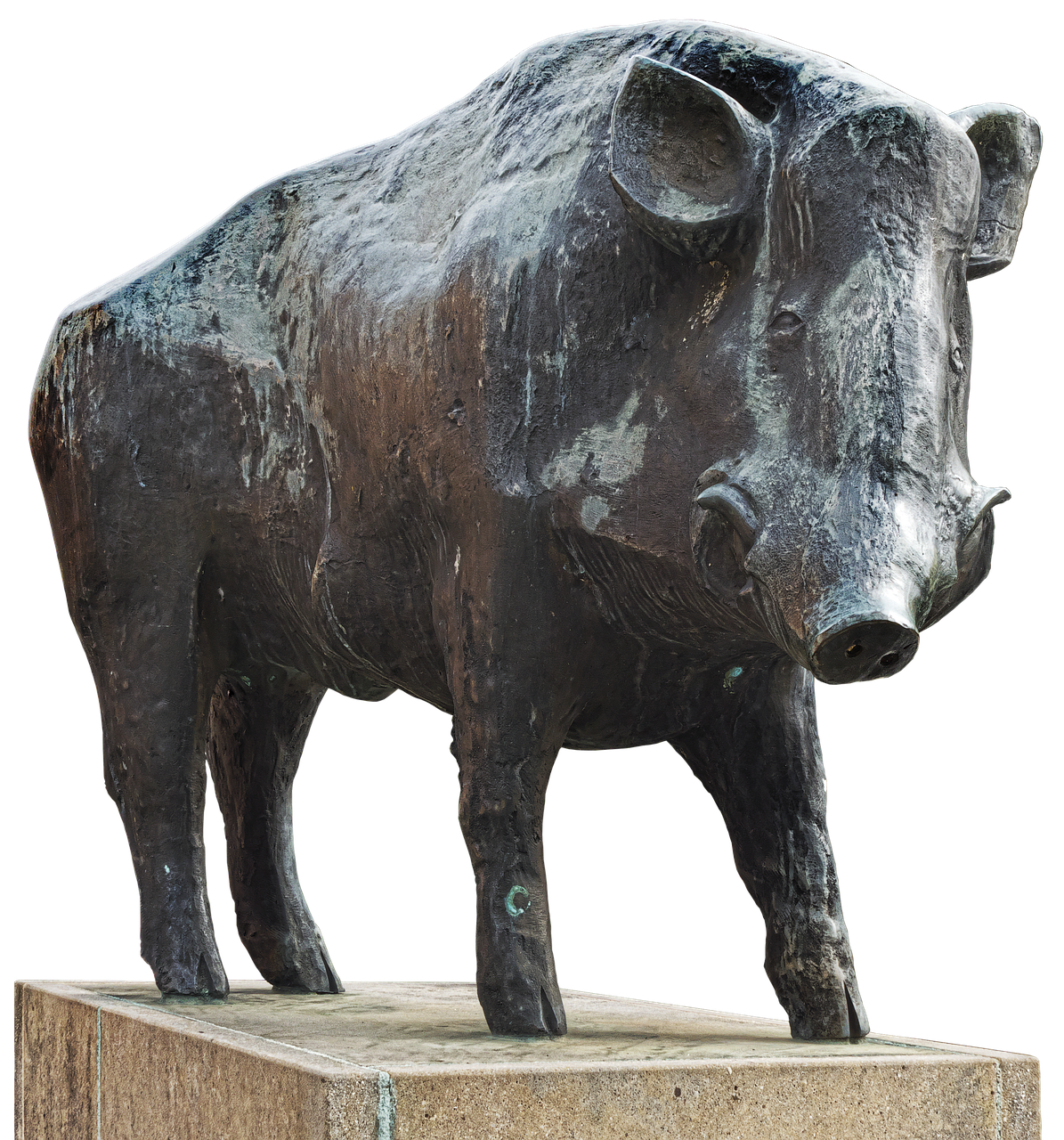 boar bronze statue animal figure free photo