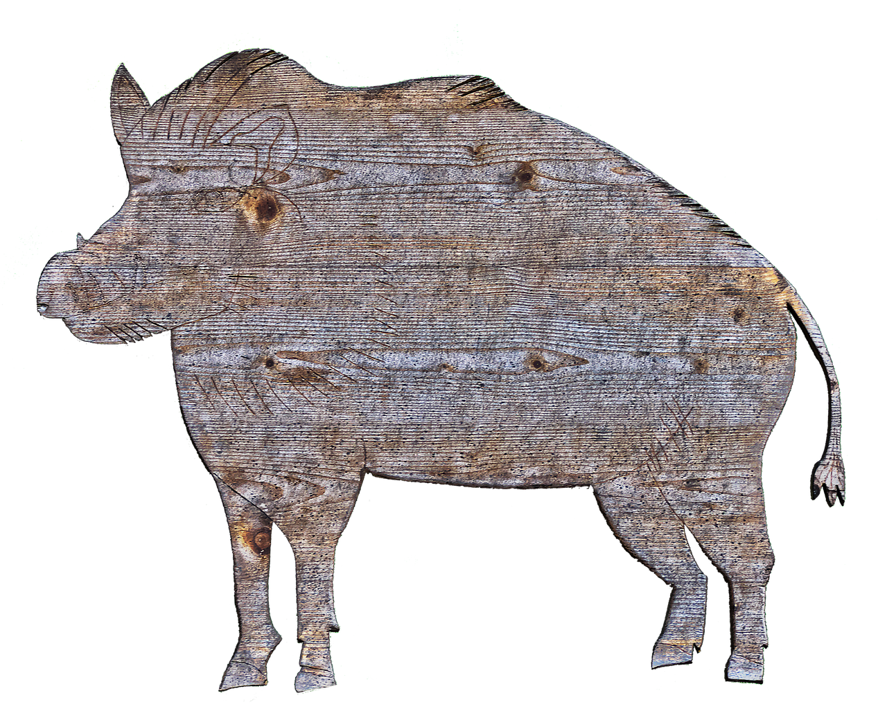 boar holzfigur figure free photo