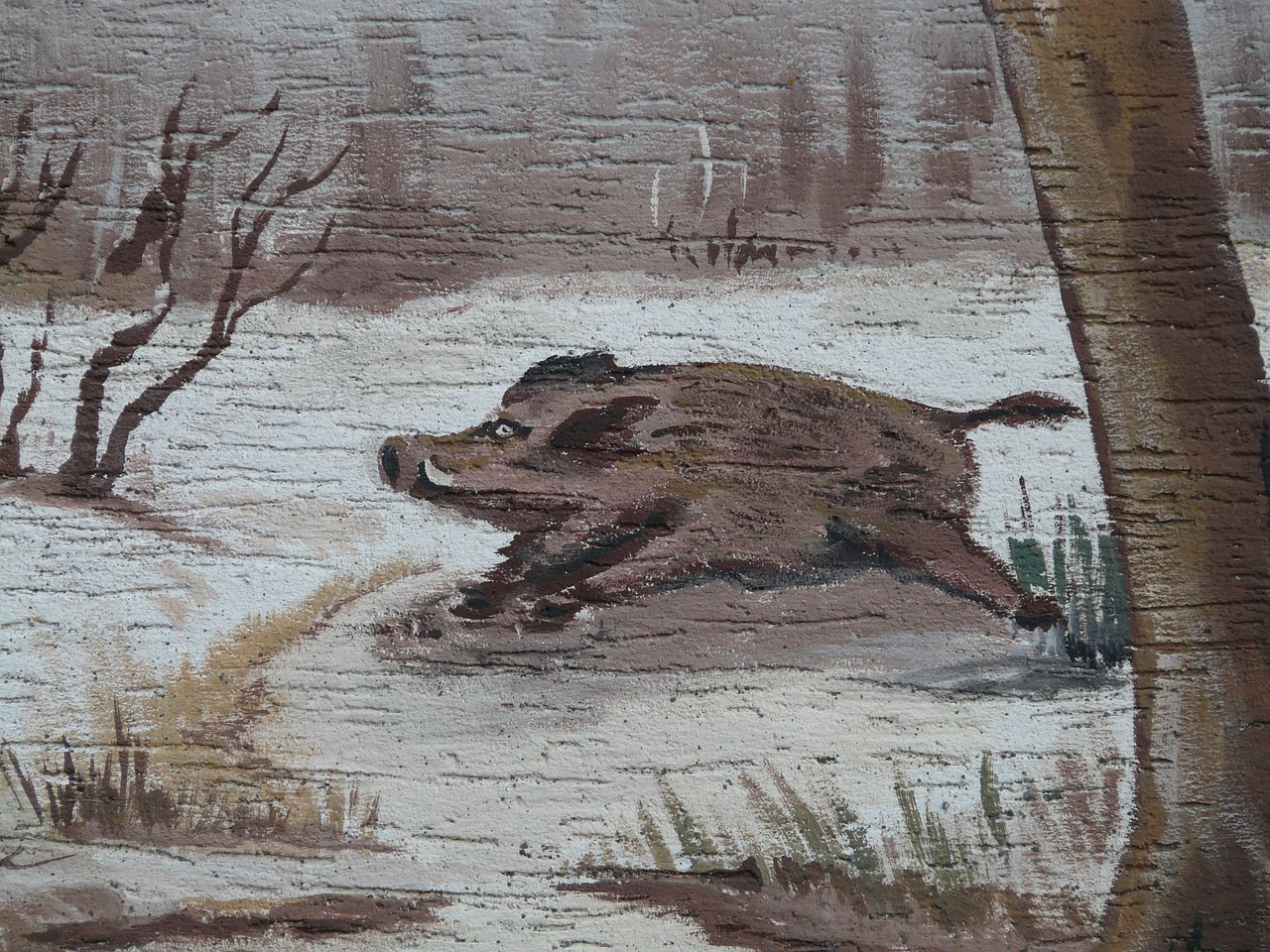 boar painting race free photo