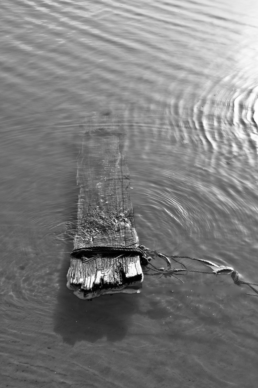 board  water  black and white free photo