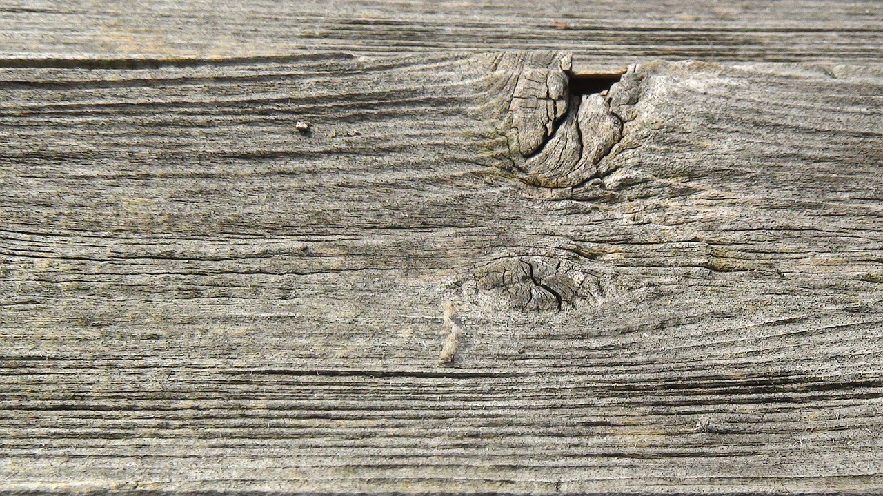 boardood wood texture free photo