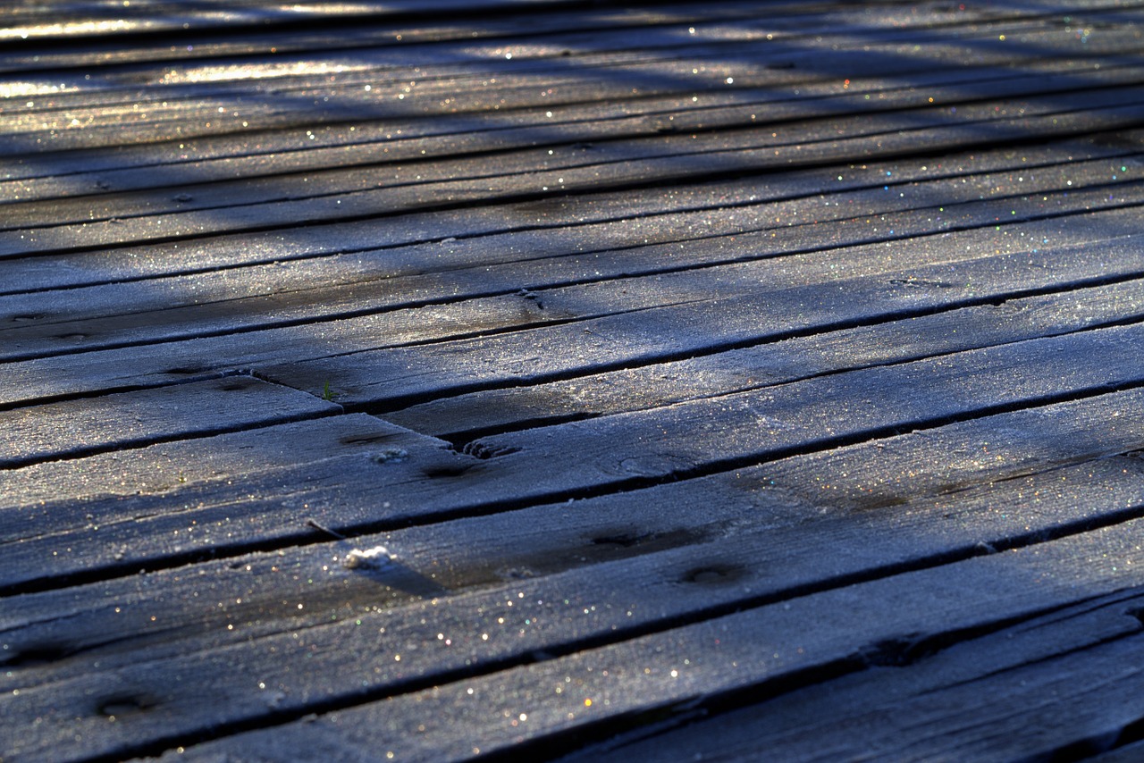 boards frost morning free photo